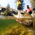 thumbnail image 3 of 35 piezas de cebo blando, señuelo pequeño, 10 piezas, combinación de anzuelo de señuelo, juego de pesca suave, 3 of 8