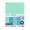 Mint Hues, variant on Recollections 450 Sheets Mint Hues 8.5" x 11" Cardstock Paper - Acid and Lignin Free Paper for Scrapbooks, Arts & Crafts - Bulk Pack