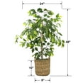 thumbnail image 7 of LCG Florals Artificial Tree, Ficus Tree, 4 ft, Woven Rattan Handled Basket, 7 of 7