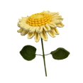 thumbnail image 1 of Decoración de flores de crochet: proyecto creativo, hecho a mano y vívido para fiestas temáticas. Amarillo, 1 of 9