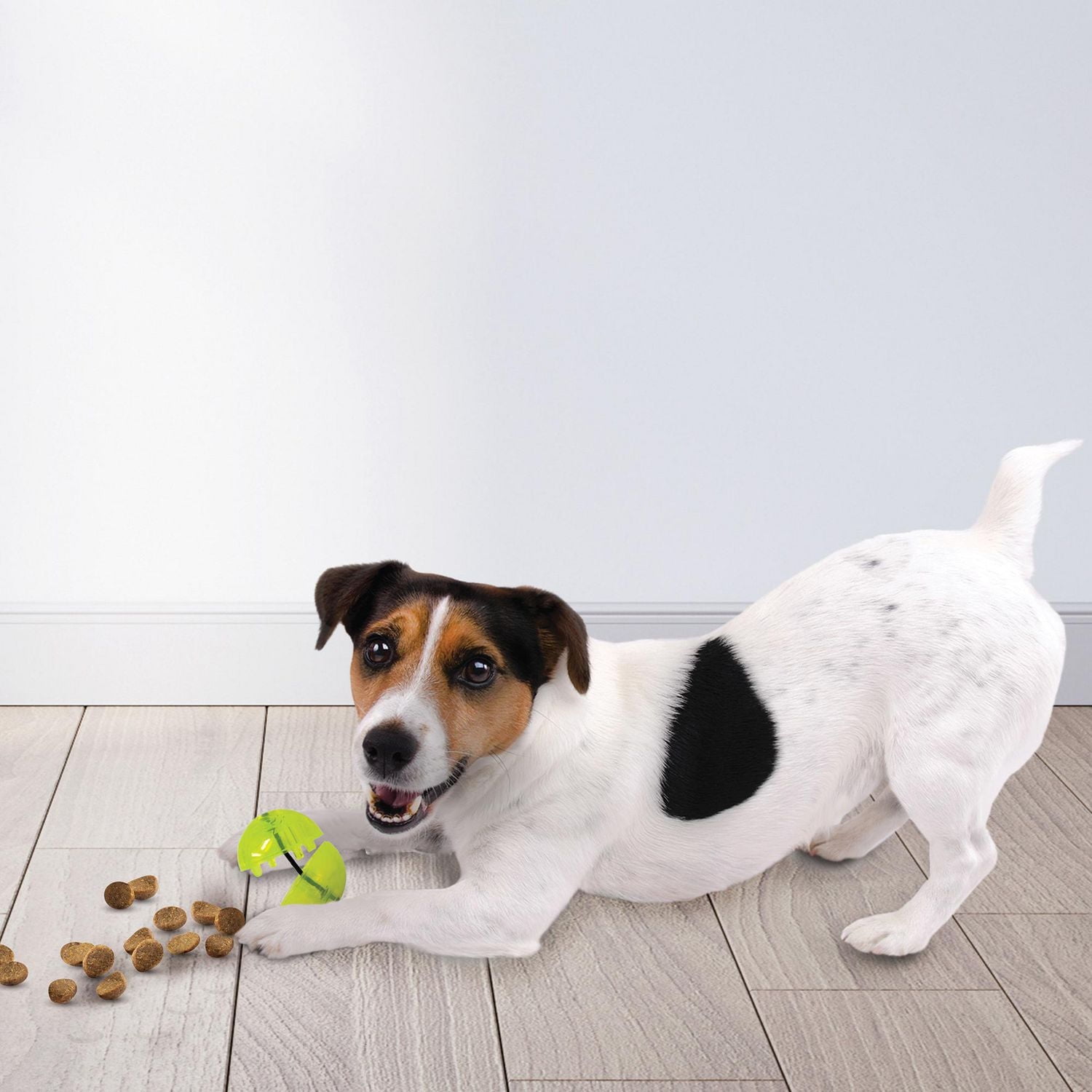 Balle pour gateries Nerf Dog en TPR joueaux pour chiens, 6cm