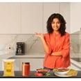 thumbnail image 5 of Rani Amchur (Mango) Ground Powder Spice 3.5oz (100g) ~ All Natural | Indian Origin | No Color | Gluten Friendly | Vegan | NON-GMO | Kosher | No Salt or fillers, 5 of 9