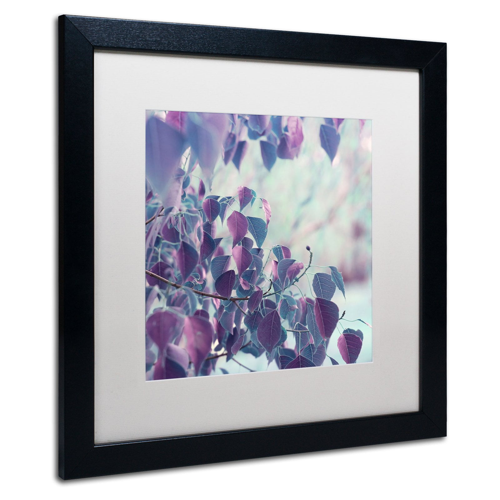 Trademark Fine Art "Summer Thoughts" Canvas Art by Beata Czyzowska Young Black Matte, Black Frame