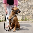 thumbnail image 7 of Nylon Dog Muzzle for Small,Medium,Large Dogs Prevent from Biting,Barking and Chewing,Adjustable Loop, 7 of 7
