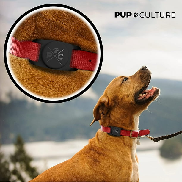 HHHC Airtag Support pour collier de chien, étui de protection pour collier  de chien, boucle d'airtag pour traceur de chien GPS, traceurs de chien pour