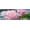 Flowers, variant on XL Sunflower Full Desk Gaming Mouse Pad - Gold & Black, Long Non-Slip Base, Waterproof Extended PC Laptop Computer Mat, Ideal for Home Office, 31.5x11.8 Inch