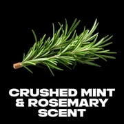 AXE مزيل العرق رذاذ للرجال فينيكس الألومنيوم الحرة، 5.1 oz