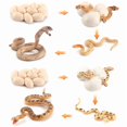 thumbnail image 1 of Juego de figuras Snake Life Cycle, juguete para niños con forma de cobra y boa de arena, 1 of 3