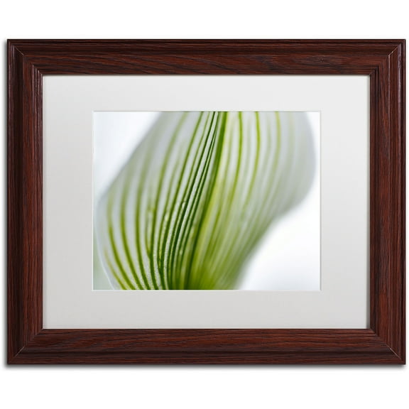 Trademark Fine Art "Orchid Abstract Blurred Lines" Canvas Art by Kurt Shaffer, White Matte, Wood Frame