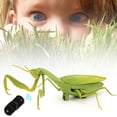 thumbnail image 3 of Control remoto por infrarrojos, alta simulación de insectos, Mantis, chico, juguete para jugar trucos, accesorio, 3 of 12