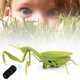 thumbnail image 5 of Juguete de simulación de insecto mantis con control remoto infrarrojo para niños, 5 of 14