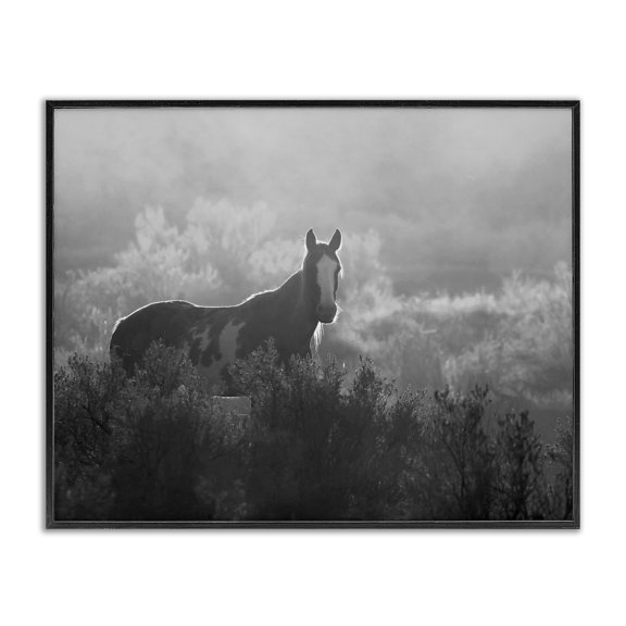 Stupell Industries Rustic Lodge Horse in Nature Trees Black Framed Giclee Art, 20 x 16, by Steve Toole