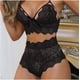 thumbnail image 1 of Conjunto de sujetador de encaje de talla grande para mujer, ropa interior sexy, chaleco sin espalda, conjunto de sujetador con tirantes sexy, 1 of 5
