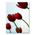 thumbnail image 2 of Trademark Global Michelle Calkins "Red Tulips from the Bottom Up" Canvas Art, 47" x 30", 2 of 3
