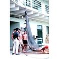 thumbnail image 2 of Dead Shark. 14-Foot History (18 x 24), 2 of 2