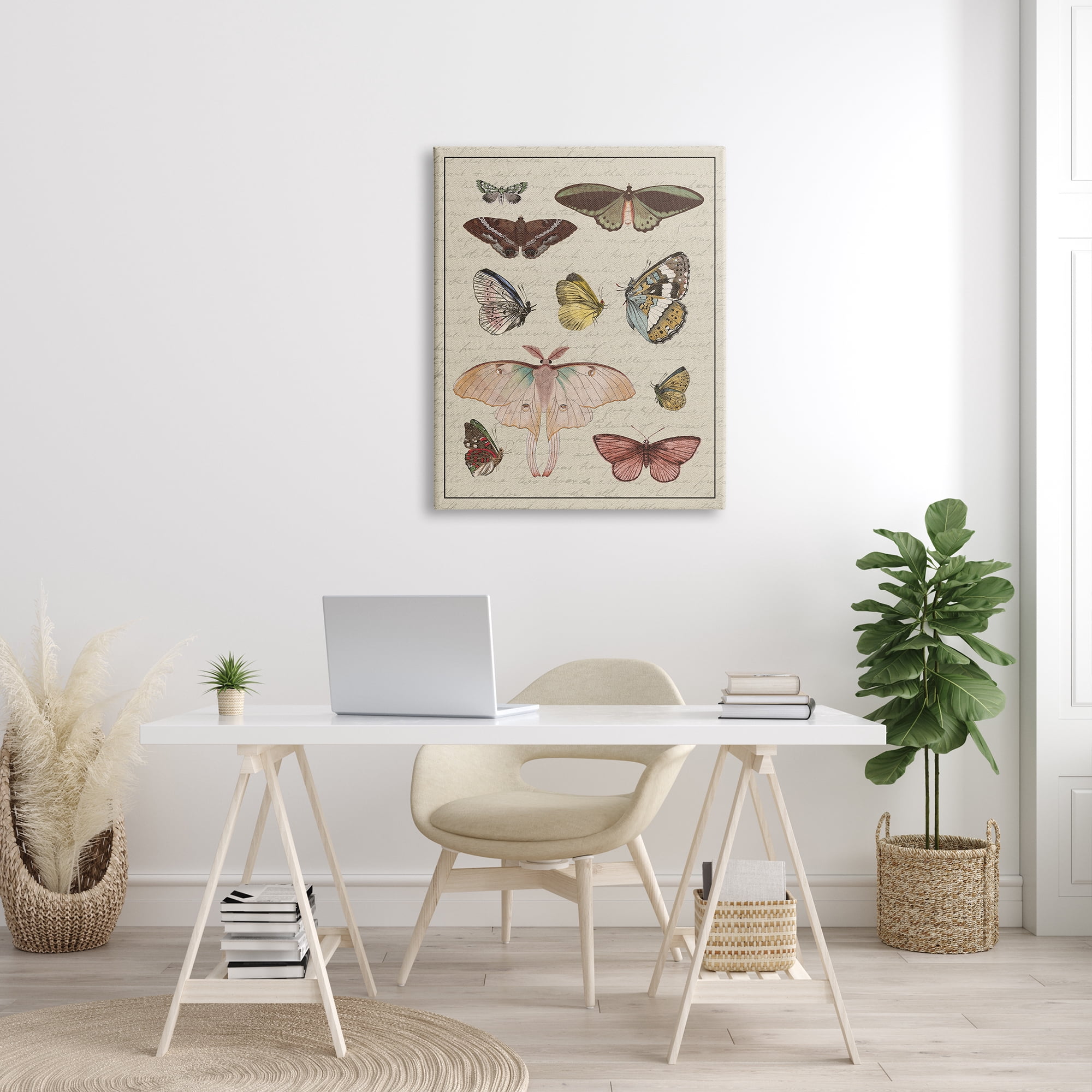 Stupell Industries Vintage Moth and Butterfly Wing Study over Script Animals & Insects Painting Gallery Wrapped Canvas Print Wall Art, 30 x 40