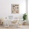 thumbnail image 3 of Stupell Industries Victorian Vintage Moth and Butterfly Wing Study over Script Canvas Art, 30 x 40, by Lil' Rue, 3 of 7