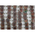 thumbnail image 2 of K-KED Wholesale Job Lots 32pcs Fashion Oval Change Color Mood Rings Adjustable Rings, 2 of 9