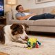 thumbnail image 4 of Cuerda masticable duradera para perros que muerden con fuerza; entrenamiento interactivo y de tira y afloja con paño de limpieza, 4 of 8