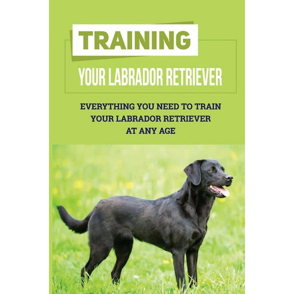 Training Your Labrador Retriever: Everything You Need To Train Your Labrador Retriever At Any Age: How Much Is Enough Exercise For Labrador Retriever, (Paperback)