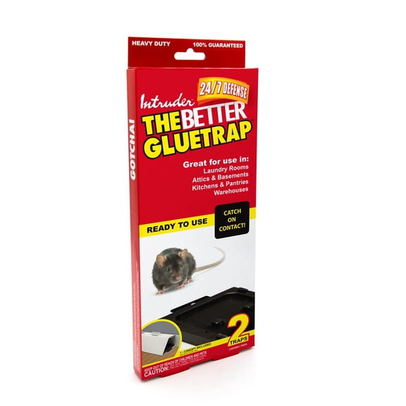Intruder 17510 The Better Gluetrap Glue Trap, Large, Black