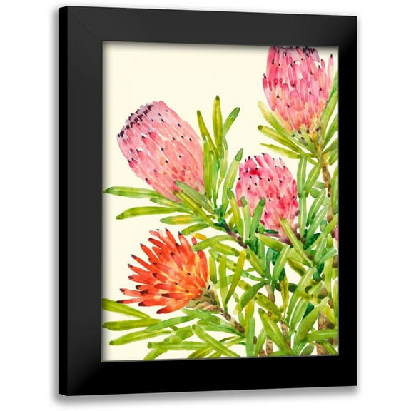 OToole, Tim 12x14 Black Modern Framed Museum Art Print Titled - Watercolor Tropical Flowers I