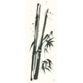 thumbnail image 2 of Paschke, Chris 12x24 White Modern Wood Framed Museum Art Print Titled - Longevity I, 2 of 4