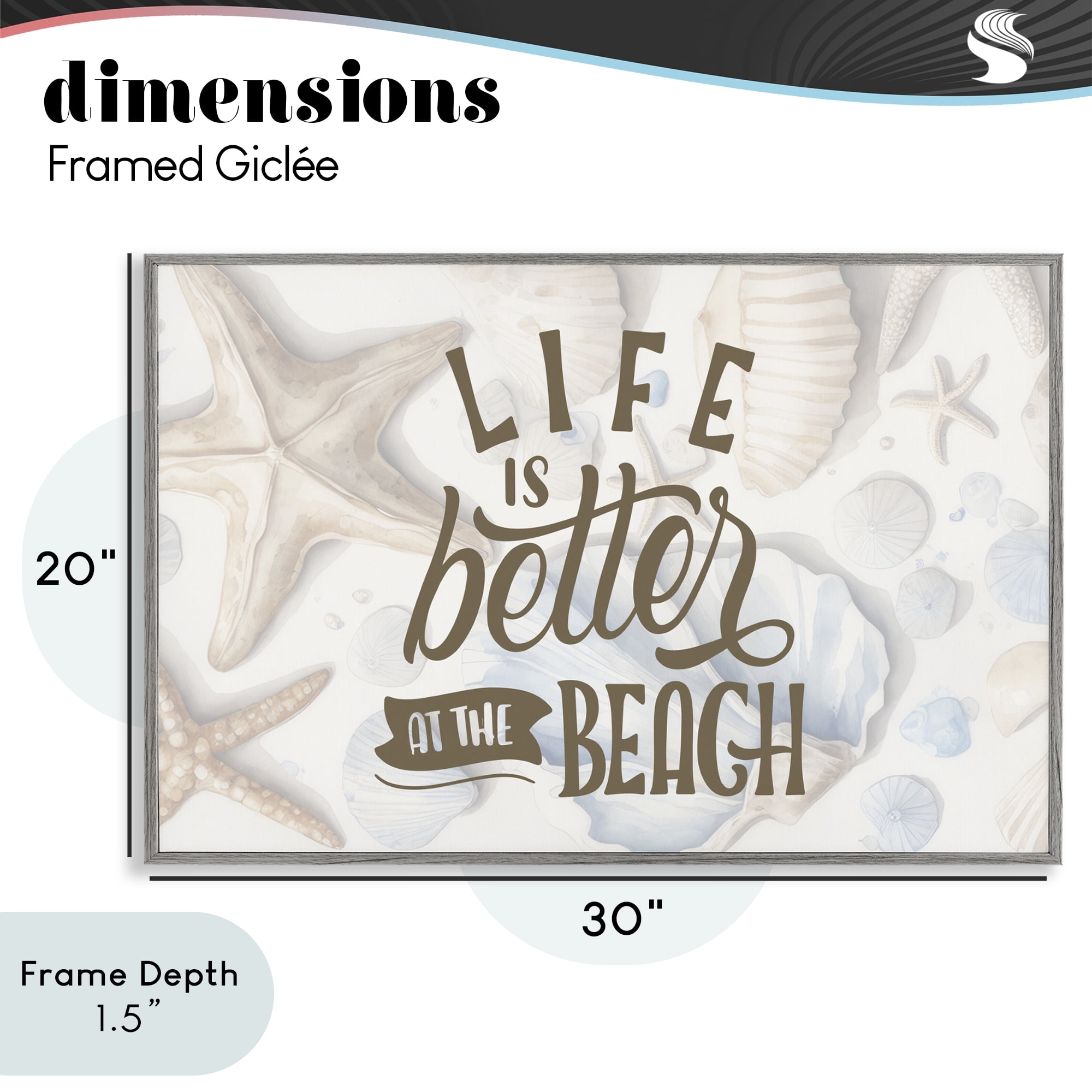 Stupell Industries Better At Beach Seashells Gray Framed Giclee Art, design by Kim Allen