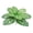 C, variant on Artificial Dieffenbachia Foliage, Realistic Faux Greenery, 17 Inch Lifelike Plant for Entryway Patio Garden Landscaping, UV Resistant, LLLDMXY
