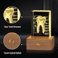thumbnail image 2 of 3D Crystal Human Tooth Model, Black Gift Packaging, Wood Base with Yellow Light, Transparent Glass, Great Gift for Home and Office Decoration (2x2x3.15 inch), 2 of 8