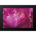 thumbnail image 2 of Marshall, Laura 24x17 Black Modern Framed Museum Art Print Titled - Ranunculus Abstract V Color, 2 of 5