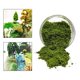 thumbnail image 3 of Adornos de césped artificial con restos: materiales de bricolaje para micropaisajes de jardines de hadas Verde, 3 of 9