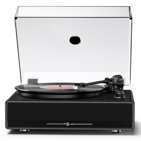 Reproductor de discos multifunción 1byOne de alta fidelidad con altavoces