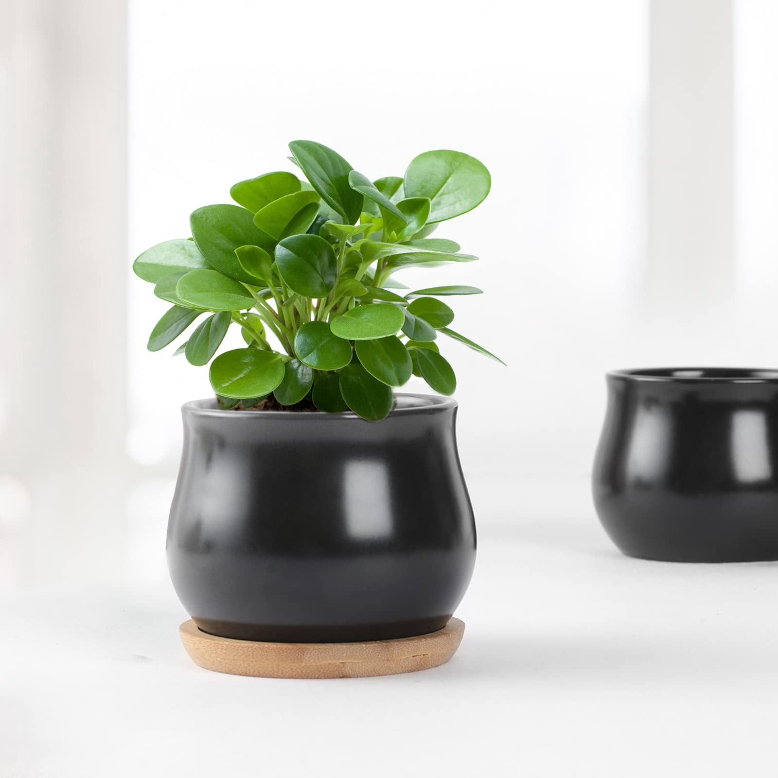 2 Pack Mini Ceramic Succulent Pots 2.5 Inch with Drainage Hole, Small Flower or Cactus Planters for Indoor Gardening