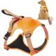 thumbnail image 1 of Dog Harness with Retractable Dog Leash as one, No-Pull Pet Harness with Adjustable Soft Padded Dog Vest 4.2 FT Automatic Locking Dog (L), 1 of 5