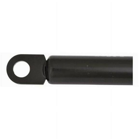 Attwood Mari SL271001 No 100 10 x 22 ft. 10 mm Gas Spring, Black