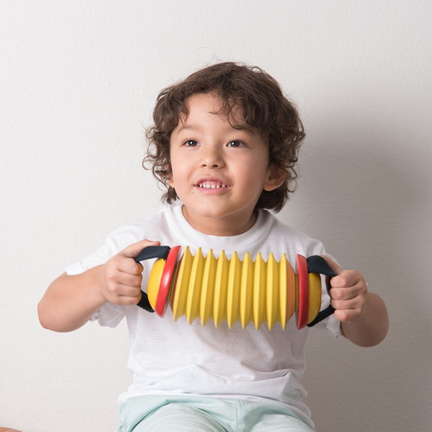 PlanToys Concertina
