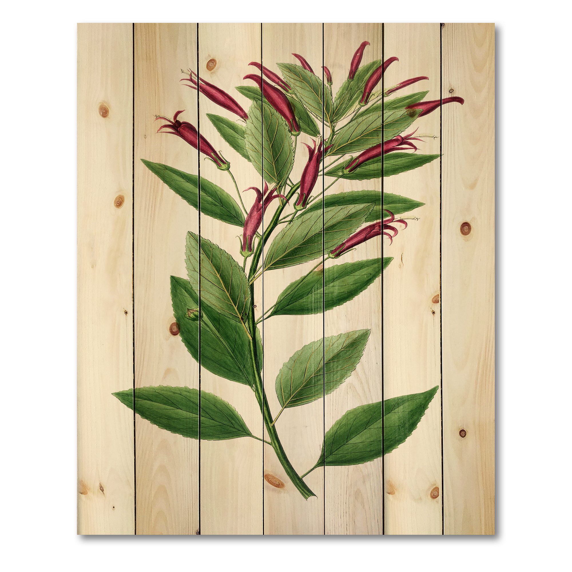 Designart 'Ancient American Flora V' Traditional Print on Natural Pine Wood