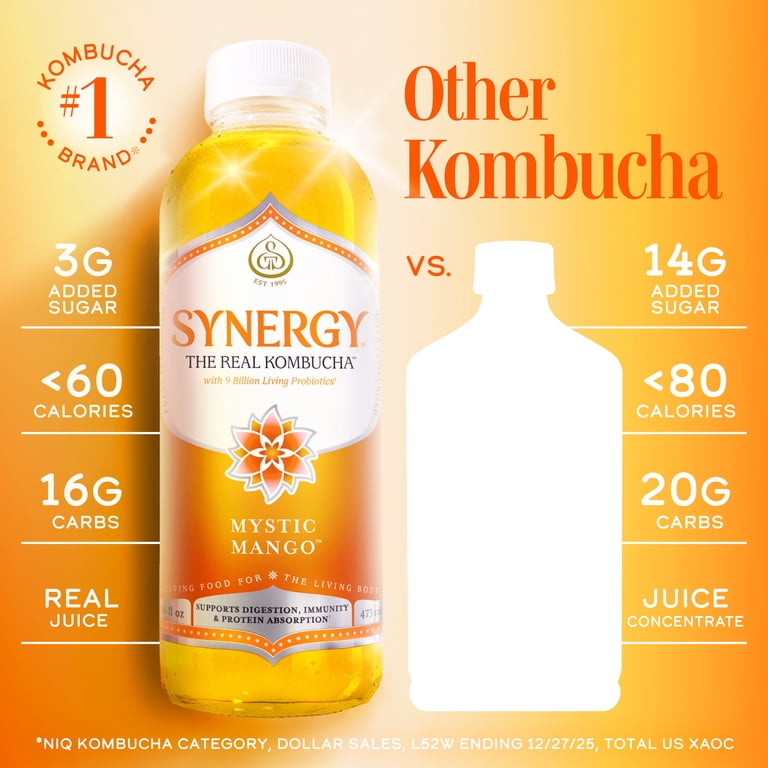 GT'S Synergy Organic Mystic Mango Kombucha, 16 Fl. Oz. - Walmart.com