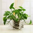 thumbnail image 2 of Flowerpot Decoration Drinking Cups Glassware Cups Vase for Cold Drinks Home Juices Medium, 2 of 9