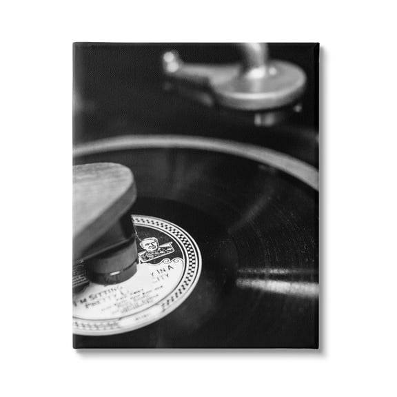 Stupell Industries Vintage Vinyl Record Nature Photography Gallery Wrapped Canvas Art Print Wall Art, 16 x 20