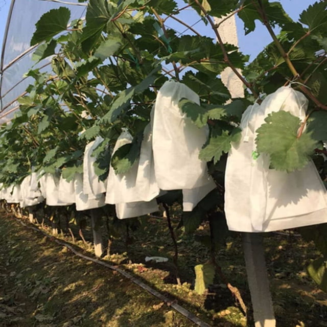 100 piezas de uvas de jardín Bolsa de protección de frutas Bosque de frutas Lecho de verduras Bolsa de malla de control de plagas de flores Bolsa de barrera de red de aislamiento de insectos (200 * 300 mm, blanco) Excelente Rendimiento ER012482WZ