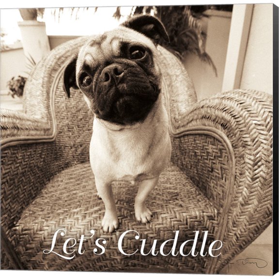 Great Art Now Wonder Lets Cuddle Sq Script 1 by Jim Dratfield Canvas Wall Art