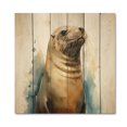 thumbnail image 3 of Designart "Inquisitive Sea Lion I" Animals Print on Natural Pine Wood, 3 of 5