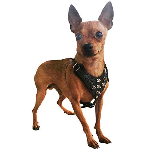 Black,One Size Benala High Quality Wolf Spiked Studded Leather Dog Harness&Leash Large Dog Harness Metal Leash For Pitbull Bully Husky Terrier Doberman