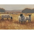 thumbnail image 2 of Harper, Ethan 18x15 Black Ornate Wood Framed with Double Matting Museum Art Print Titled - Grazing at Sunset II, 2 of 4