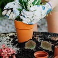 thumbnail image 4 of TABLZONE 10Pcs Realistic Simulated Flower Cluster Plastic Material for Sand Table and Garden Decor, 4 of 6