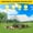 9.8' w x 13.1' d x 6.6' h, variant on QinaQin Outdoor Walk-In Poultry Cages, Galvanized Steel Chicken Coops, with Waterproof Roofs and Safety Lock Doors