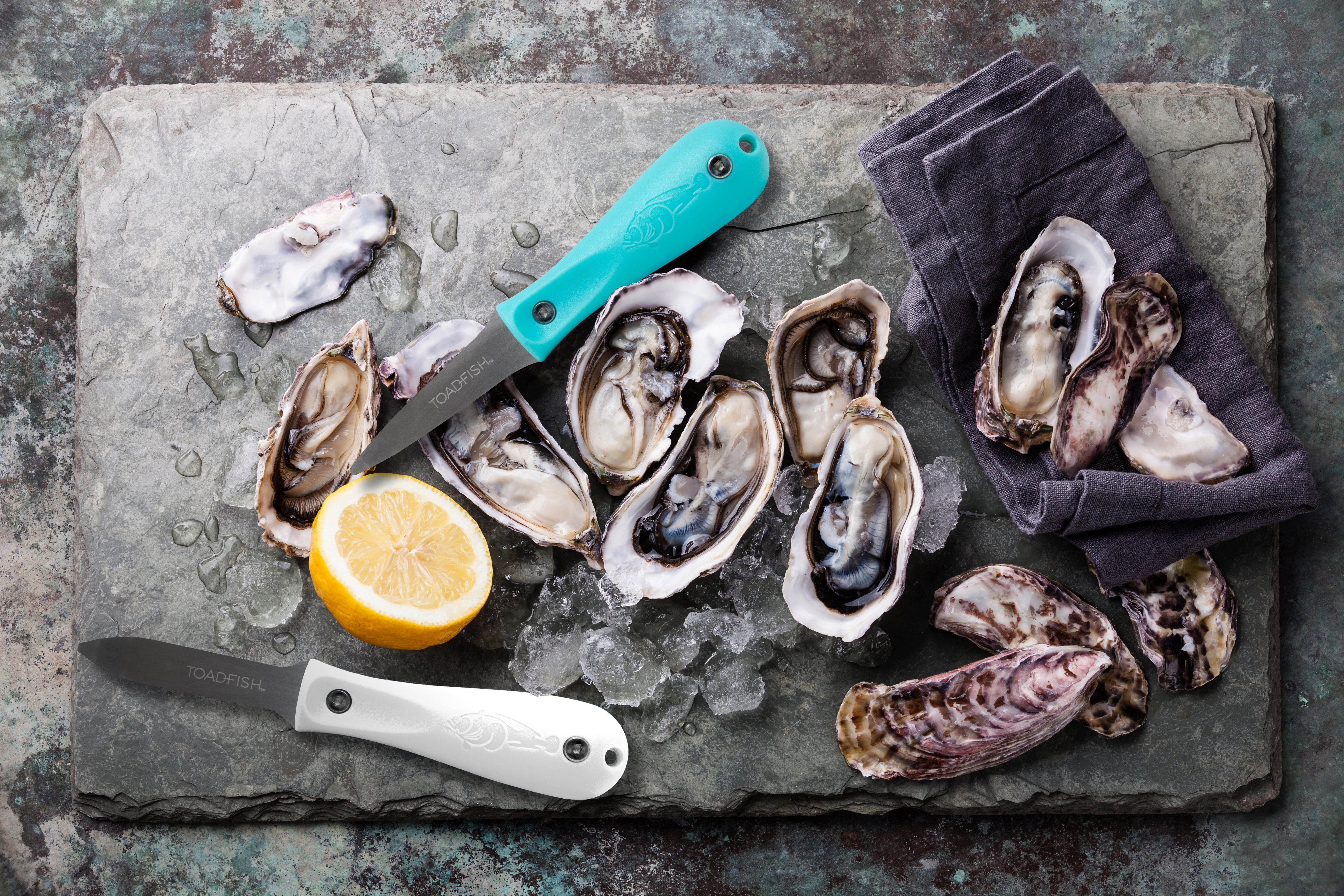Toadfish Oyster Knife – Stainless Steel Shellfish Shucker