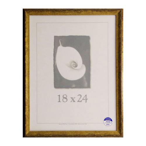 Frame USA Verona Narrow 18inch x 24inch Picture Frame